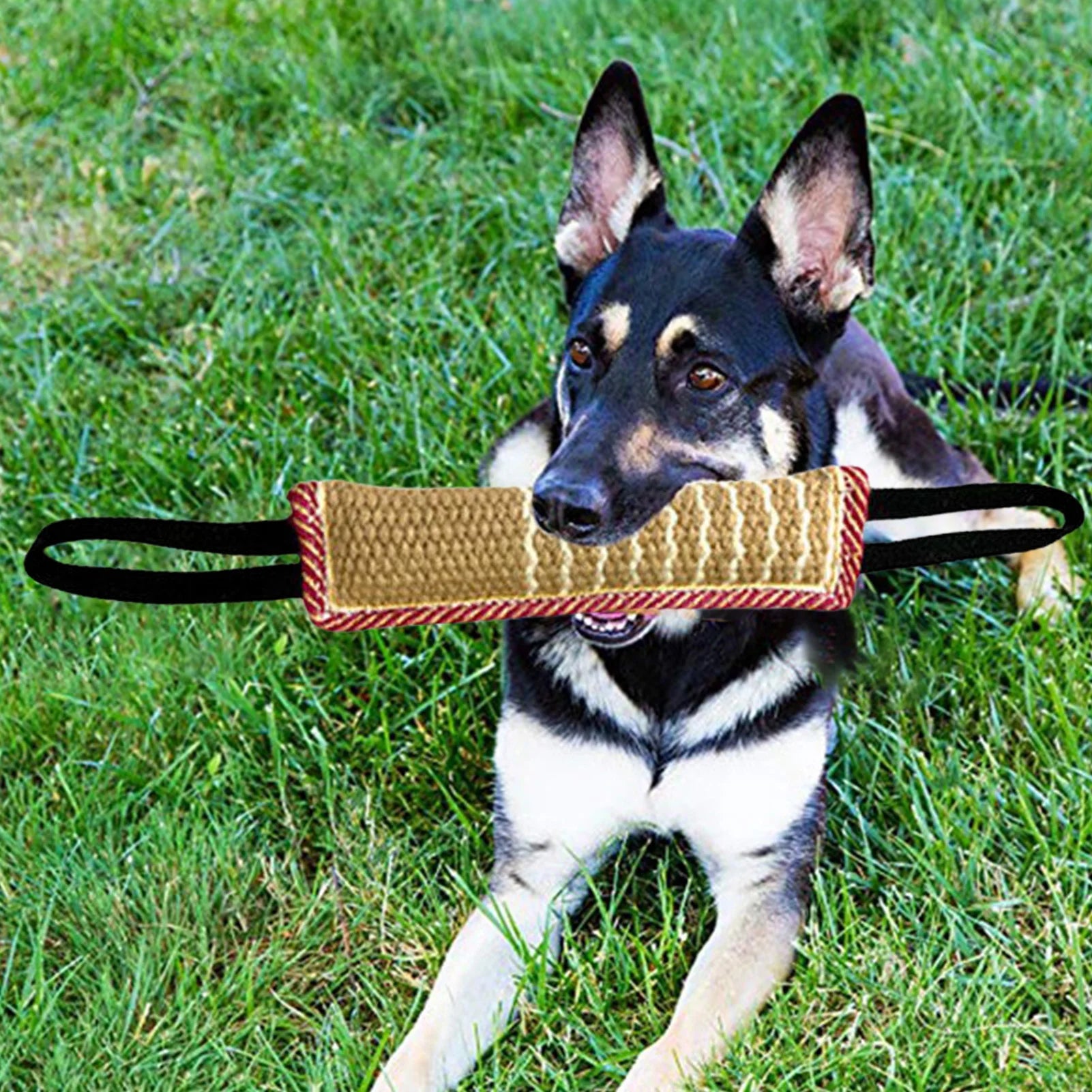 Pet Dog Tug Toy Chew Pillow & Rope for Teeth Cleaning & Training