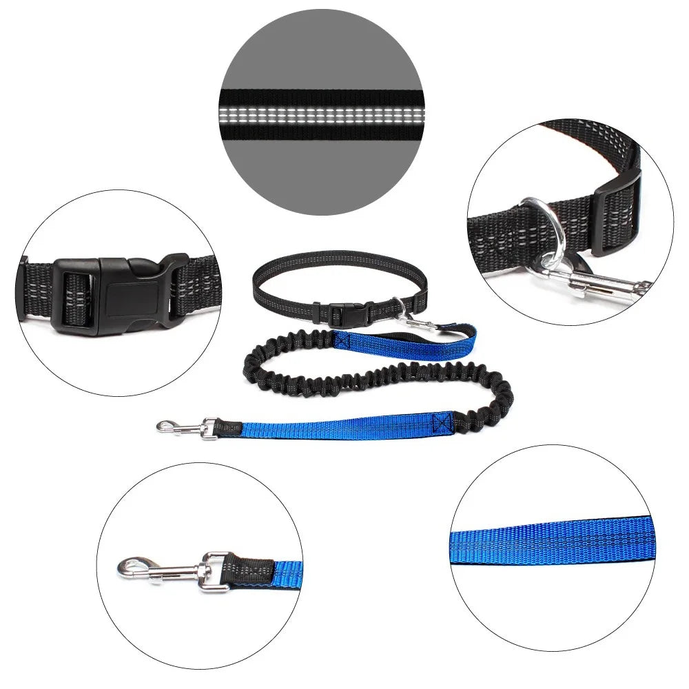 Elastic Running Belt with Metal D-Ring Hands-Free Reflective Dog Leash