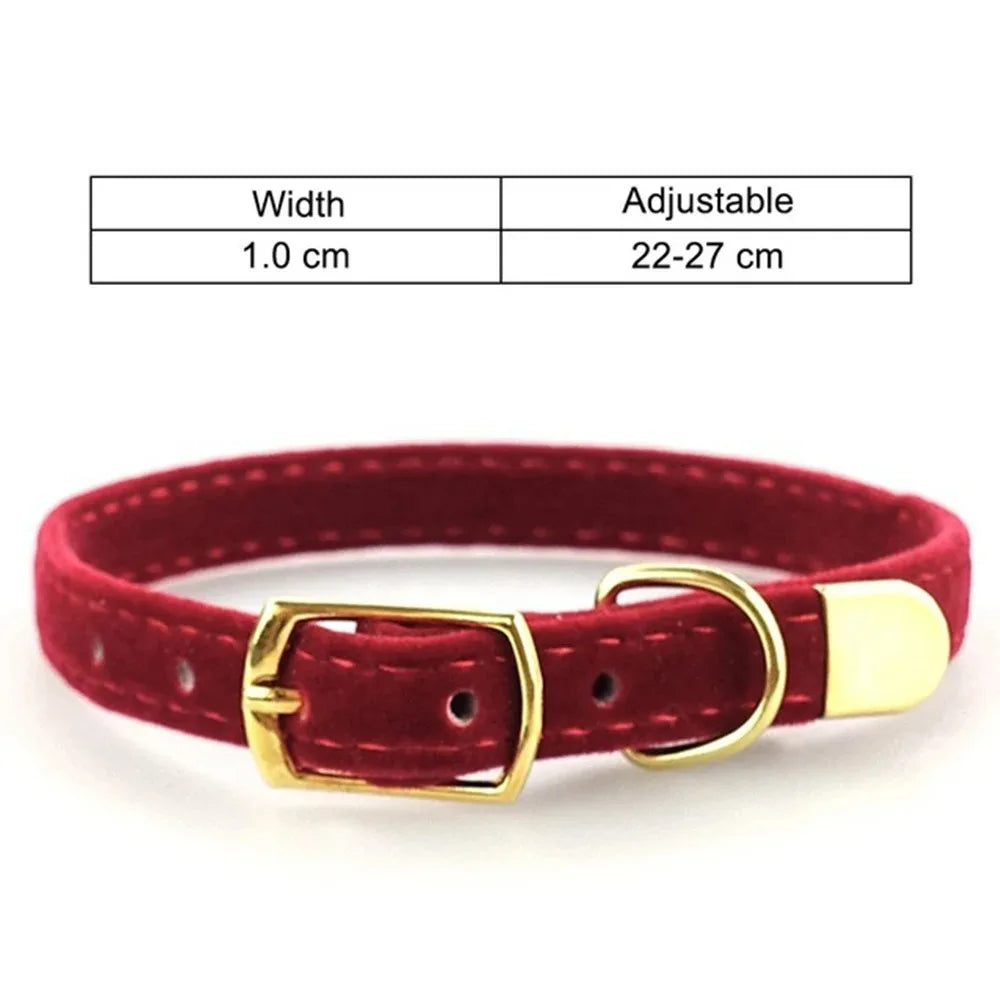 Cat Collar with Bell Safety Collar for Small Dogs & Kittens