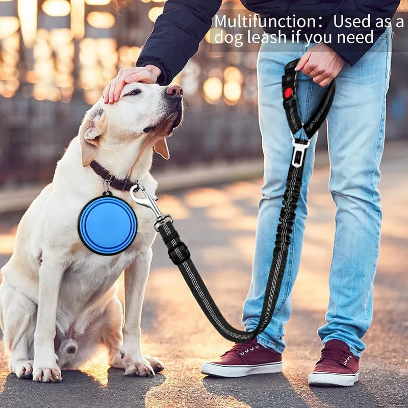 Multi-Functional Dog Leash with Car Safety Buckle