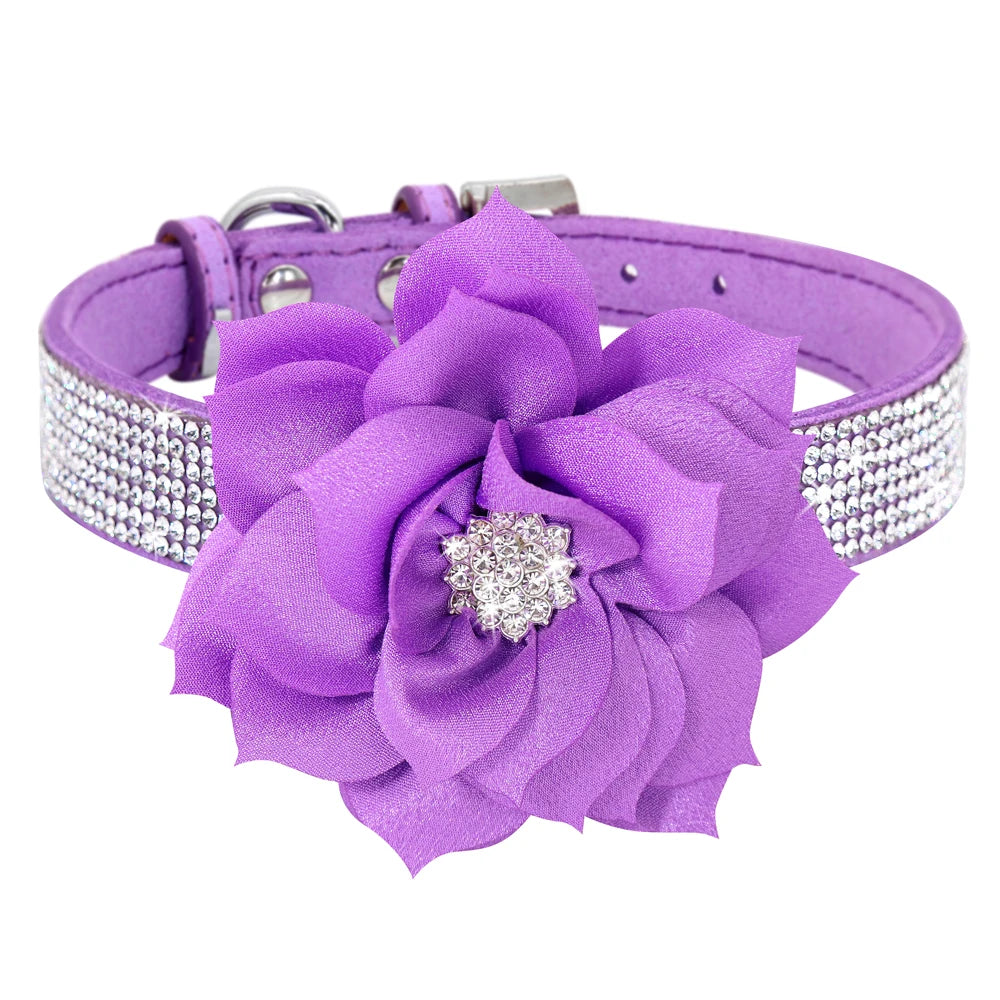 Glitter Rhinestone Leather Dog Collar with Floral Design & 120cm Leash