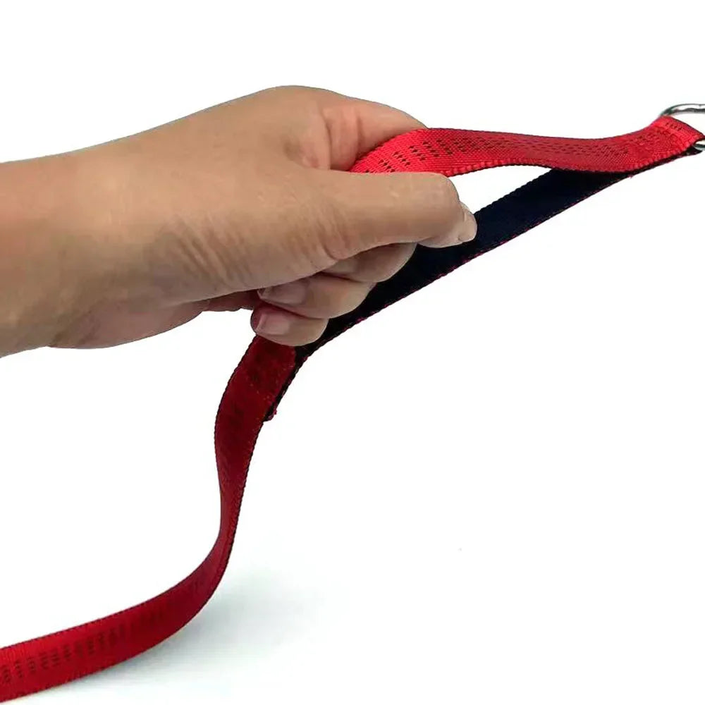 150cm Adjustable Reflective Nylon Slip Lead with P Chain Collar Leash