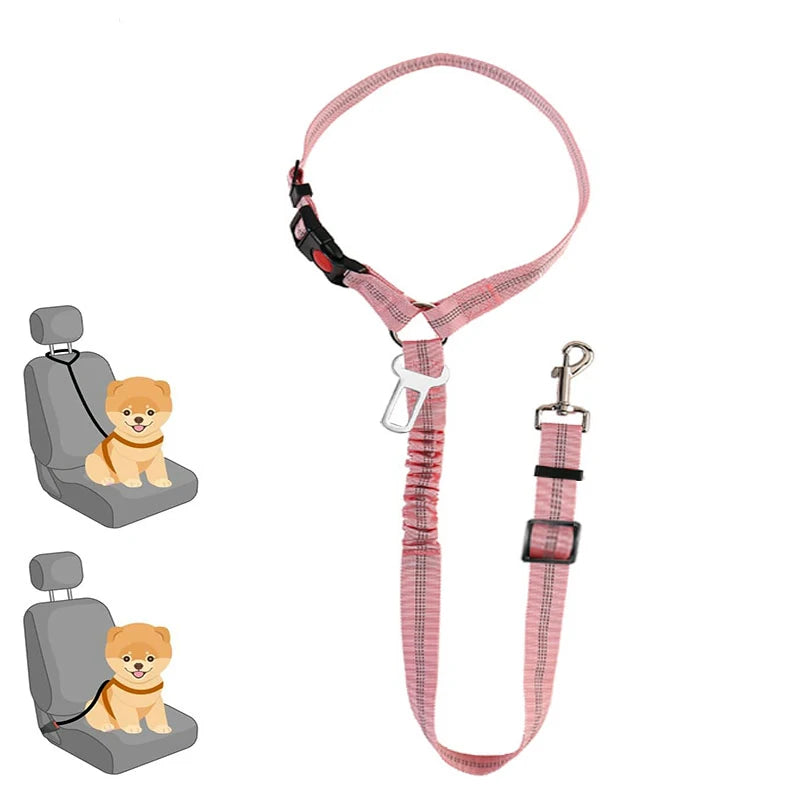 Multi-Functional Dog Leash with Car Safety Buckle