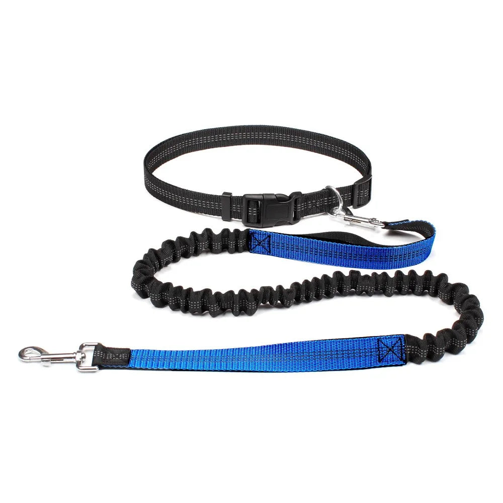 Elastic Running Belt with Metal D-Ring Hands-Free Reflective Dog Leash