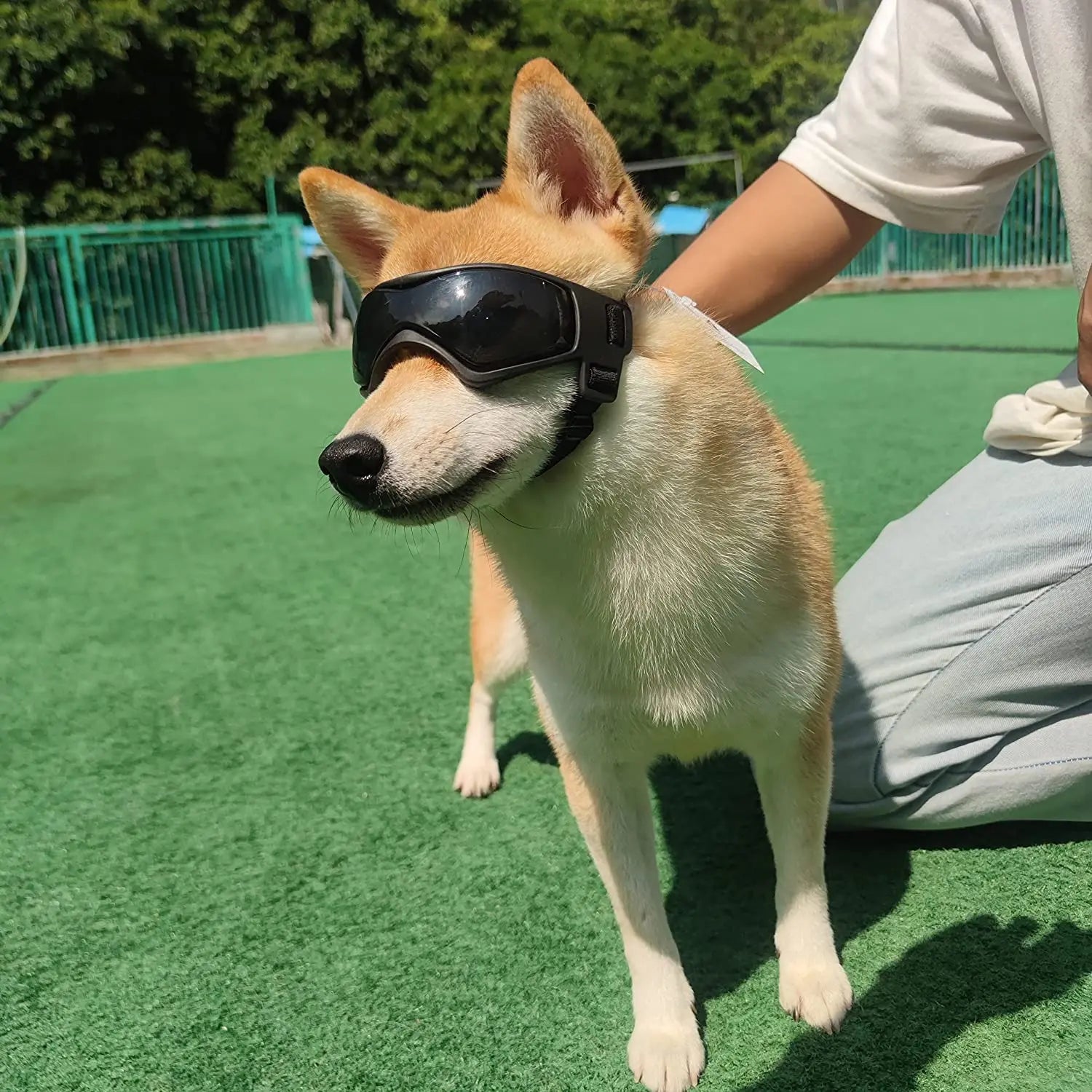 Pet UV Protection Goggles Adjustable Sunglasses for Dogs & Cats