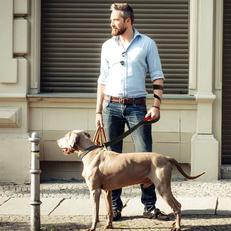 1.2m / 1.5m / 1.8m Double Handle Heavy-Duty Nylon Dog Leash