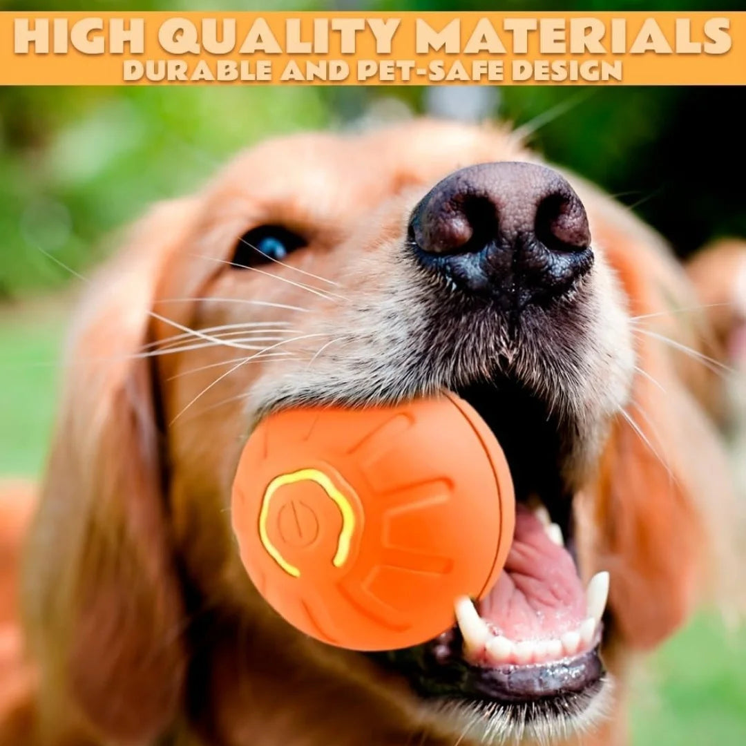Smart Gravity Bouncing Ball Interactive Toy for Dogs & Cats