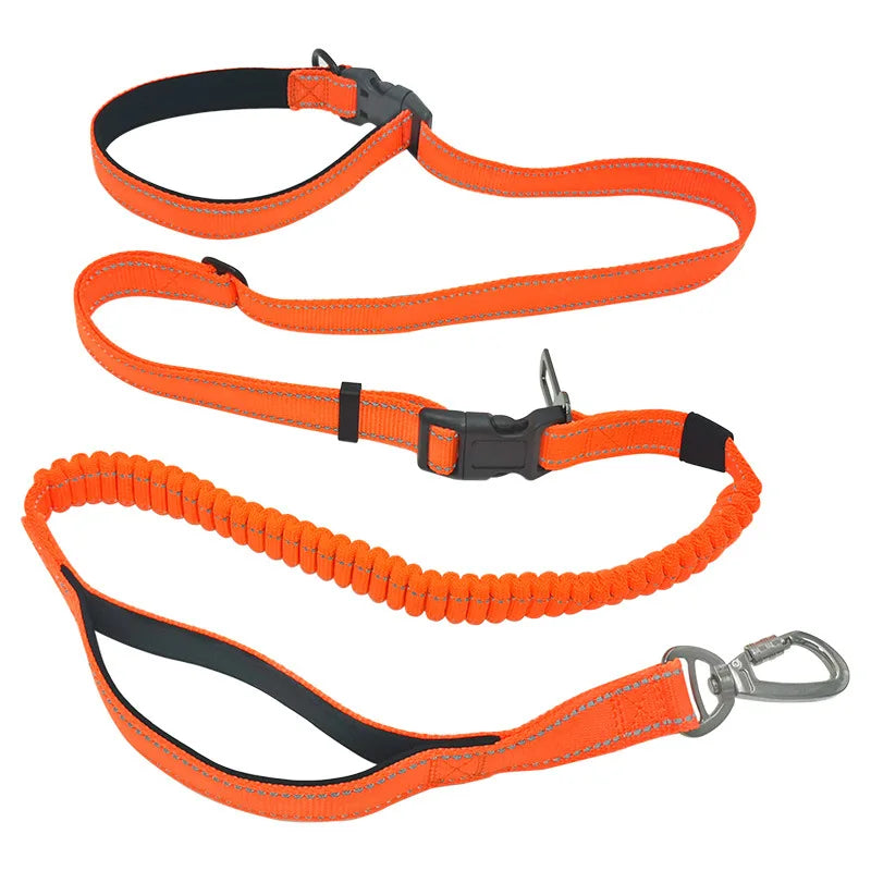 6-in-1 8ft Adjustable Bungee Waist Hands-Free Dog Leash