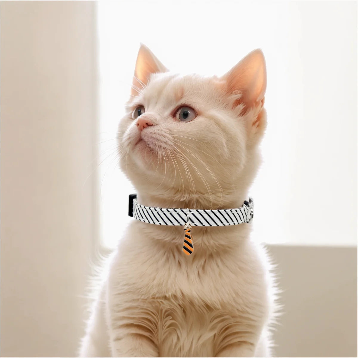 Soft Polyester Adjustable Striped Pet Collar
