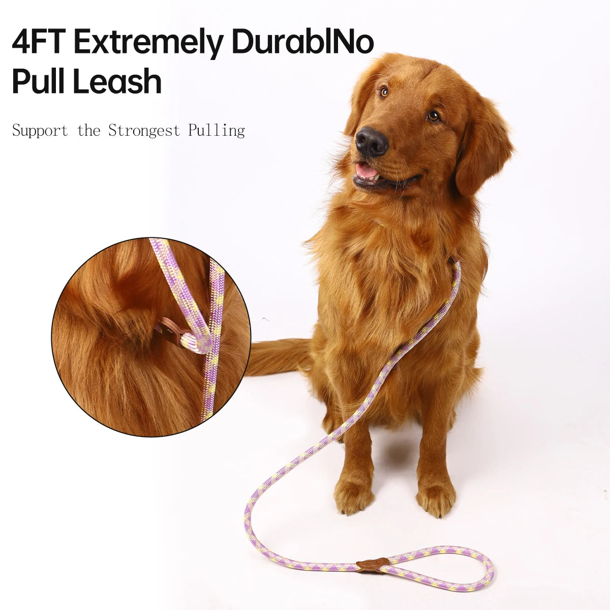 Durable Walking Lead Stylish Color-Matching Dog Leash