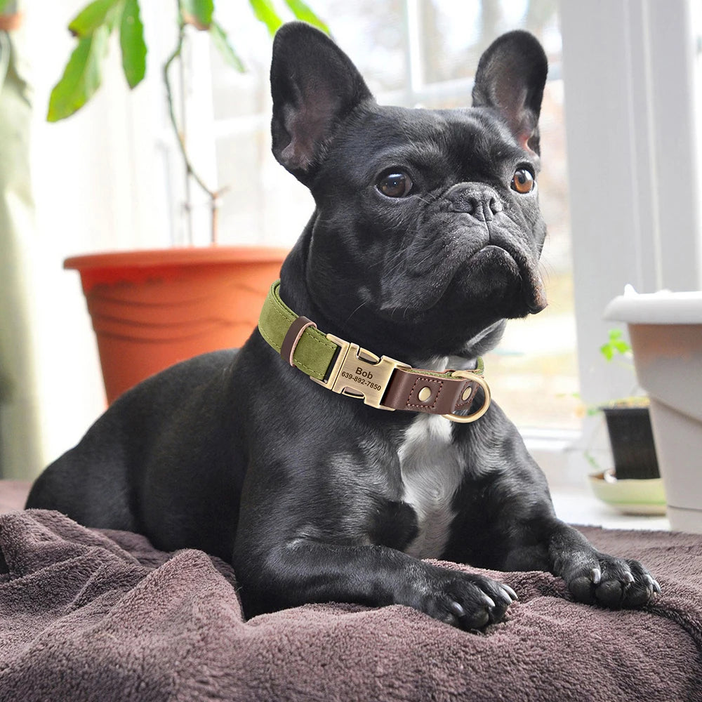 Engraved Pet ID Tag Customized PU Leather Dog Collar