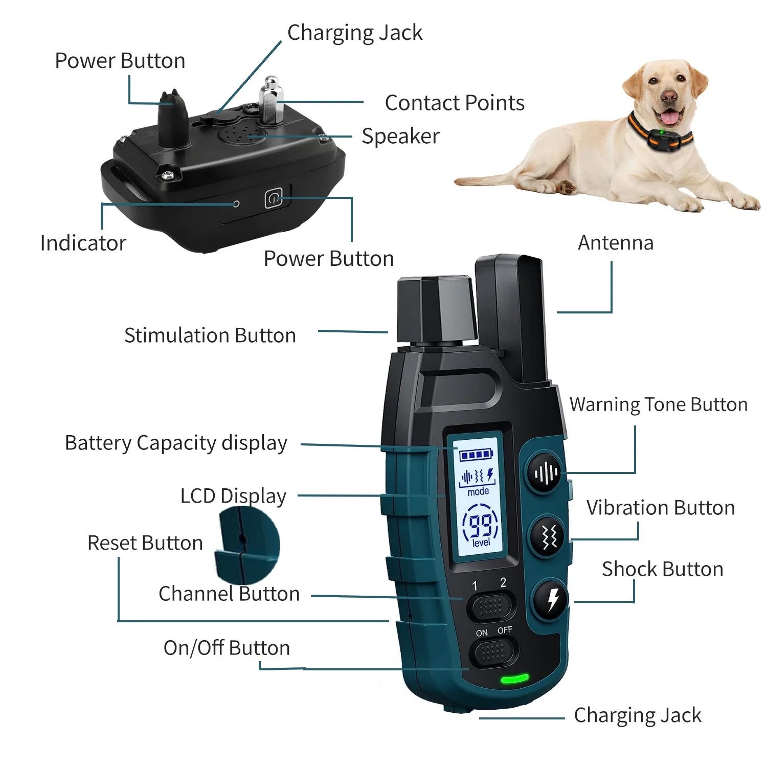 1000M Dog Training Collar – Waterproof, Shock/Vibration, for 2 Dogs