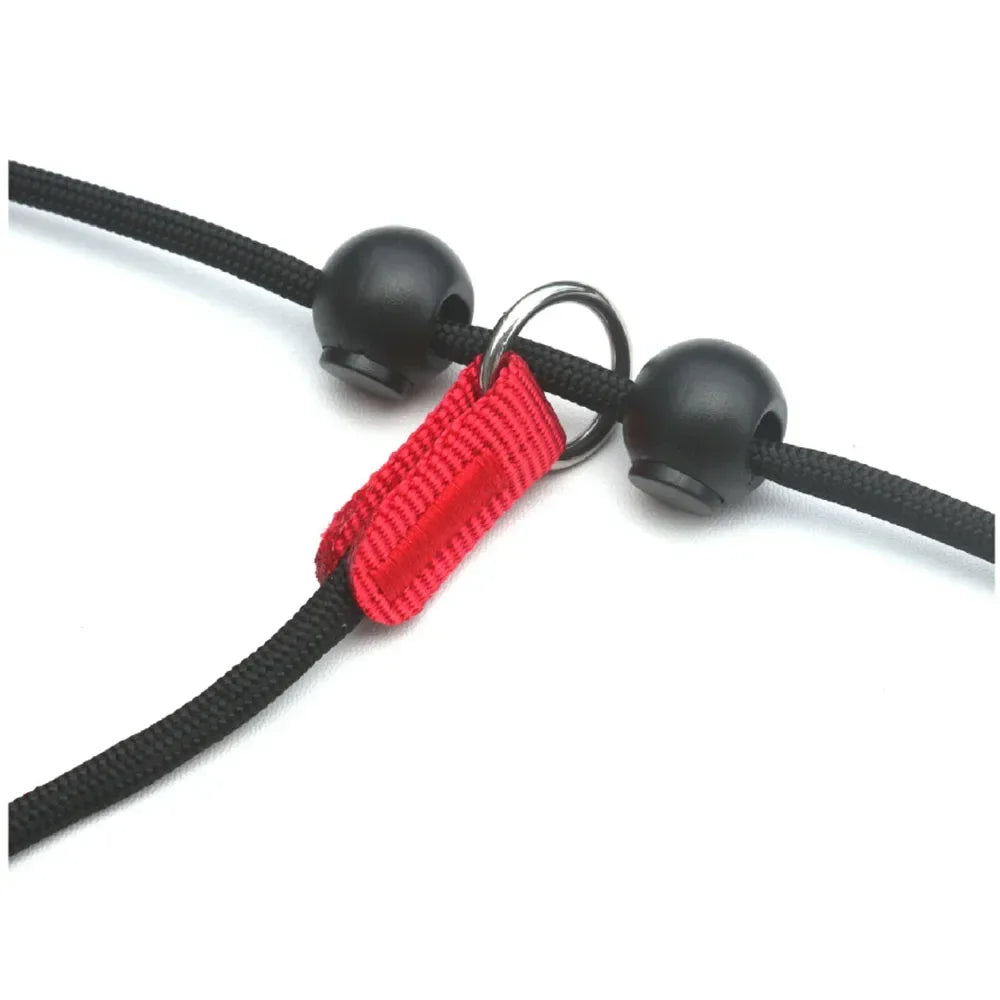 150cm Adjustable Reflective Nylon Slip Lead with P Chain Collar Leash