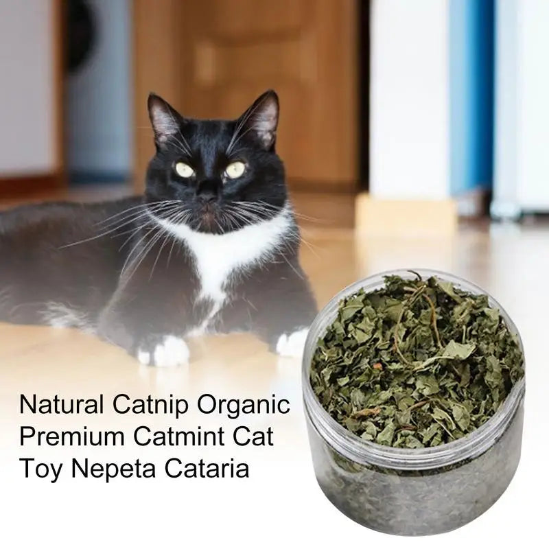 Natural Hairball Remedy Organic Catnip Supplement