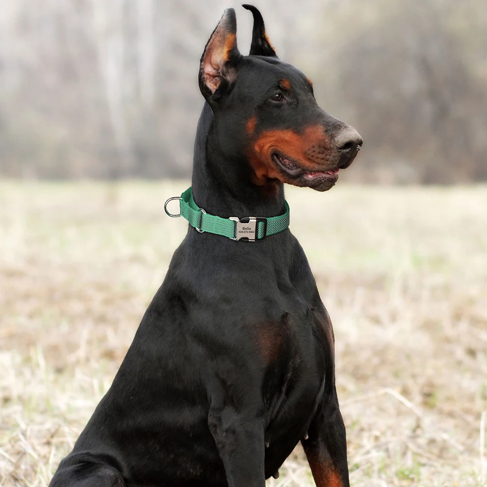 Engraved Metal Custom Reflective Martingale Dog Collar