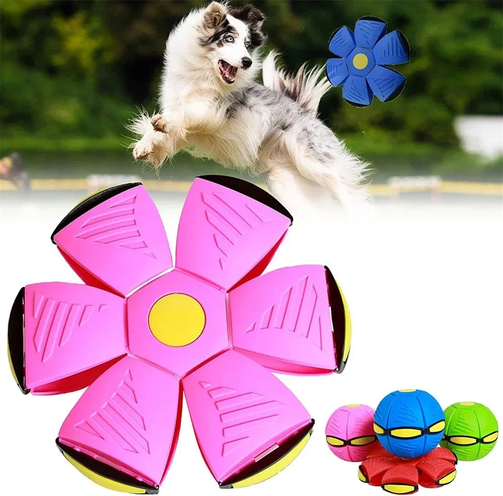Interactive Dog Disc Toy Light-Up Flying Saucer for Outdoor Play