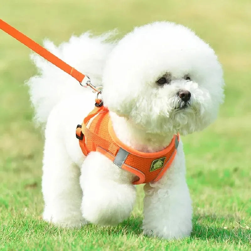 Reflective Pet Harness & Leash Set No-Pull Vest with Breathable Mesh