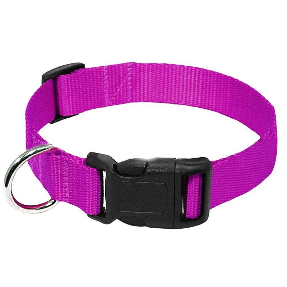 Adjustable Durable Nylon Pet Collar with D-Ring