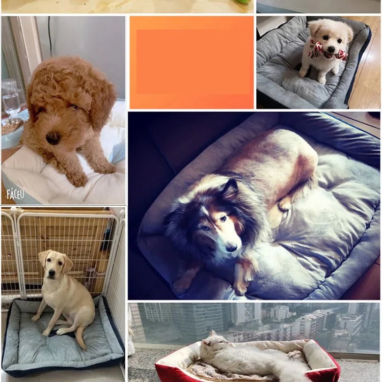 Cute Bone-Shaped Kennel with Thickened Sleeping Mat