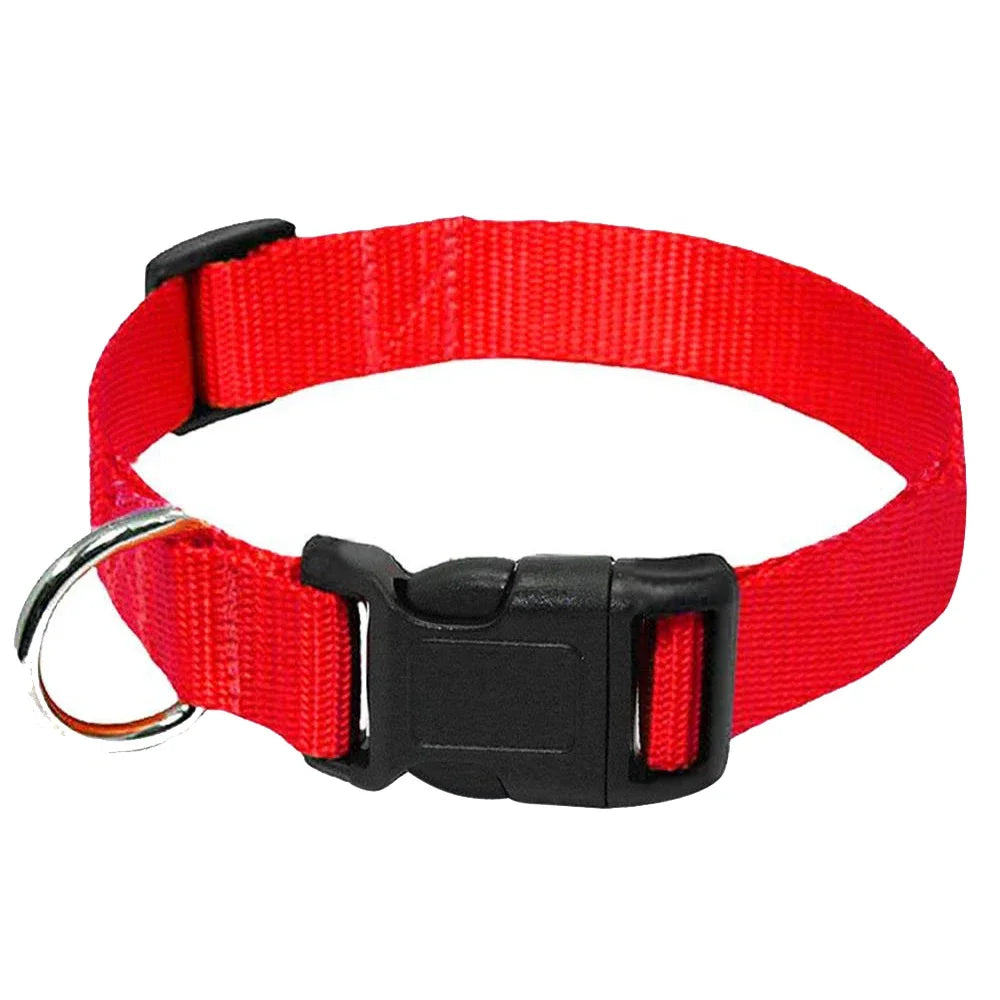 Adjustable Durable Nylon Pet Collar with D-Ring