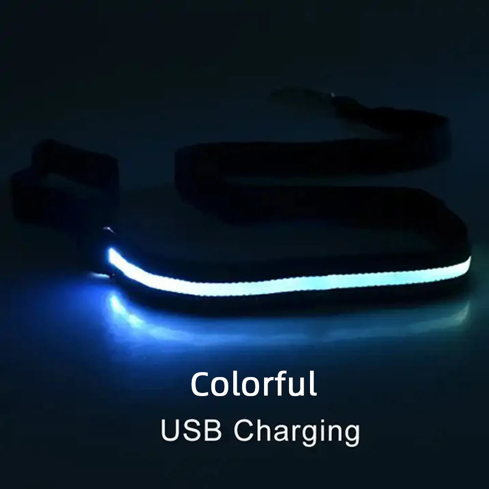 Luminous Flashing Rope Lead LED Light-Up Dog Leash