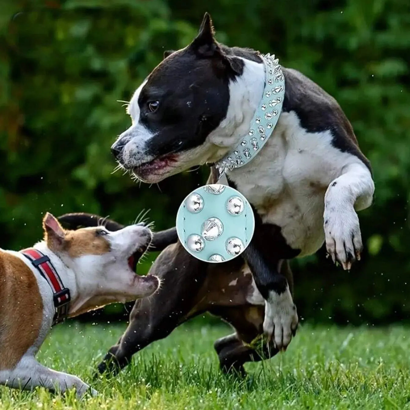 Adjustable PU Leather Rust-Resistant Rivet Dog Collar