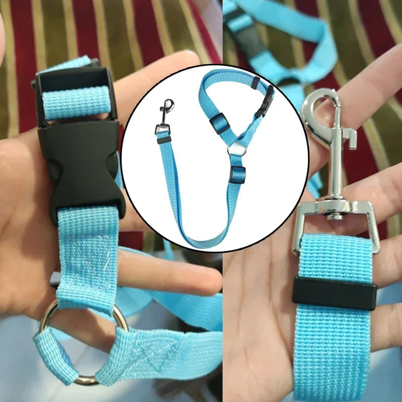 2-in-1 Adjustable Solid Color Nylon Safety Pet Car Seat Belt & Leash