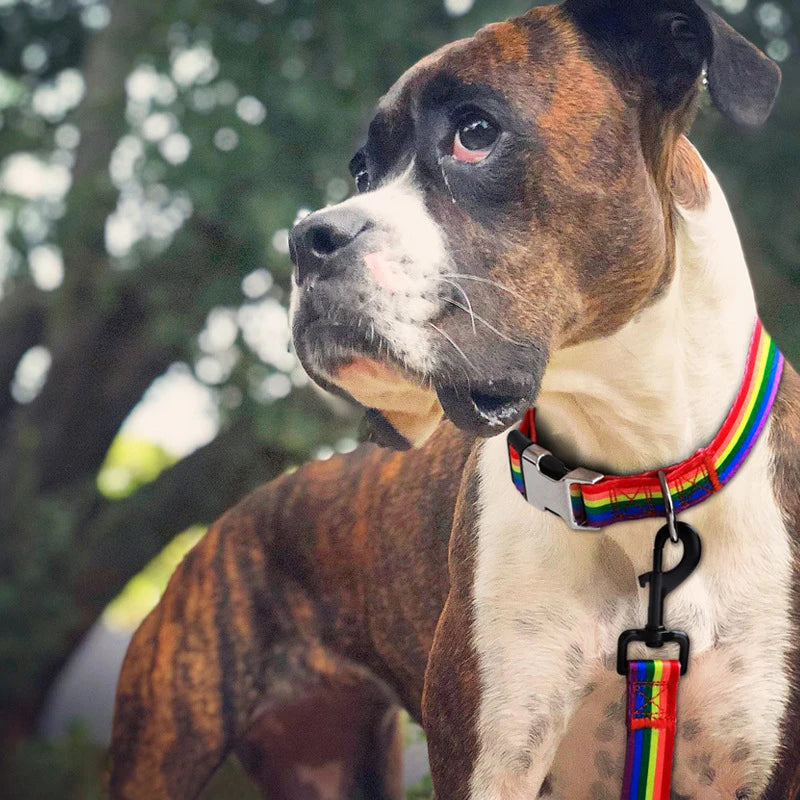 Forest Pattern & National Style Stripes Adjustable Nylon Dog Collar