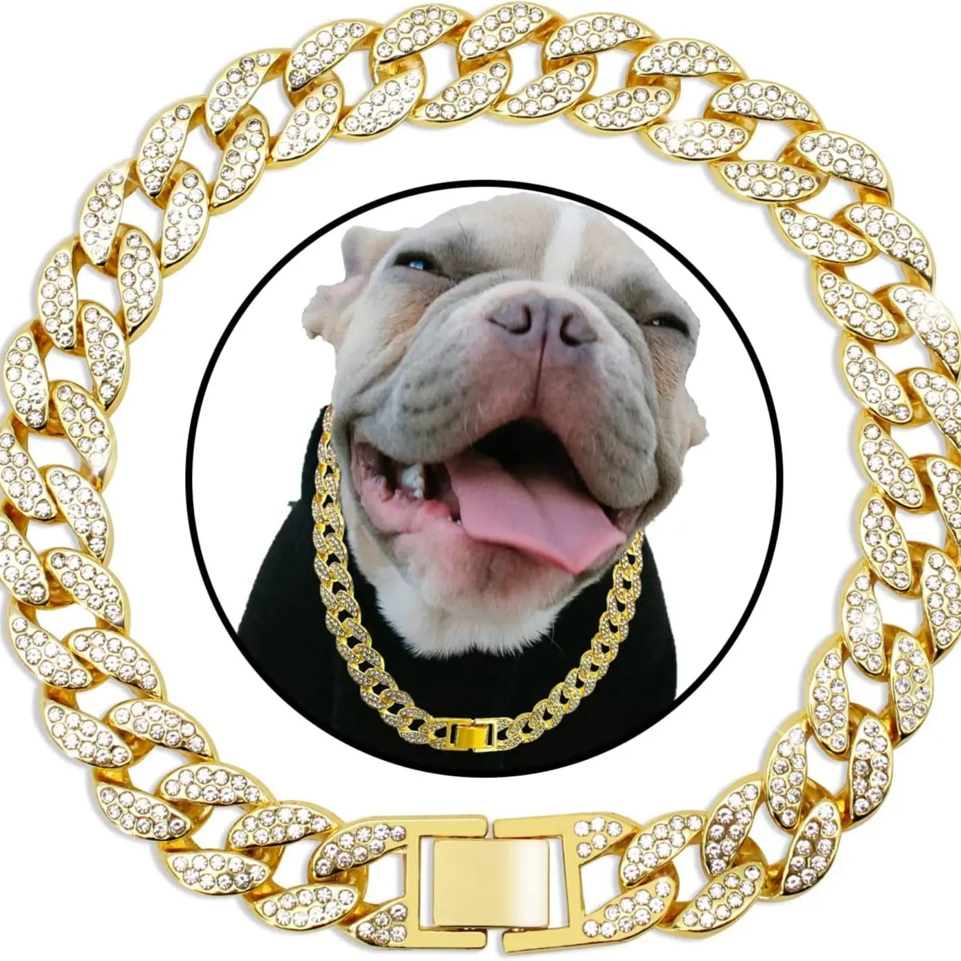 Diamond Chain Gold Cuban Link Dog & Cat Collar