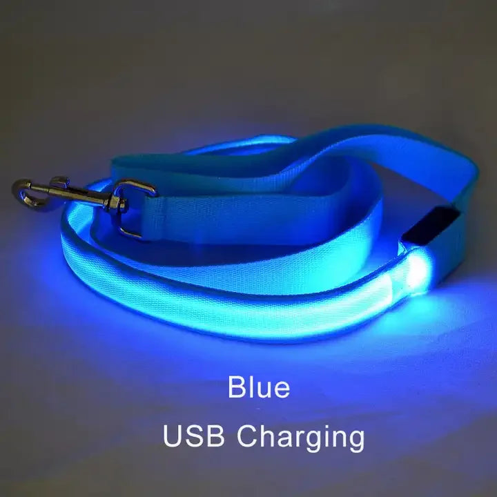 Luminous Flashing Rope Lead LED Light-Up Dog Leash