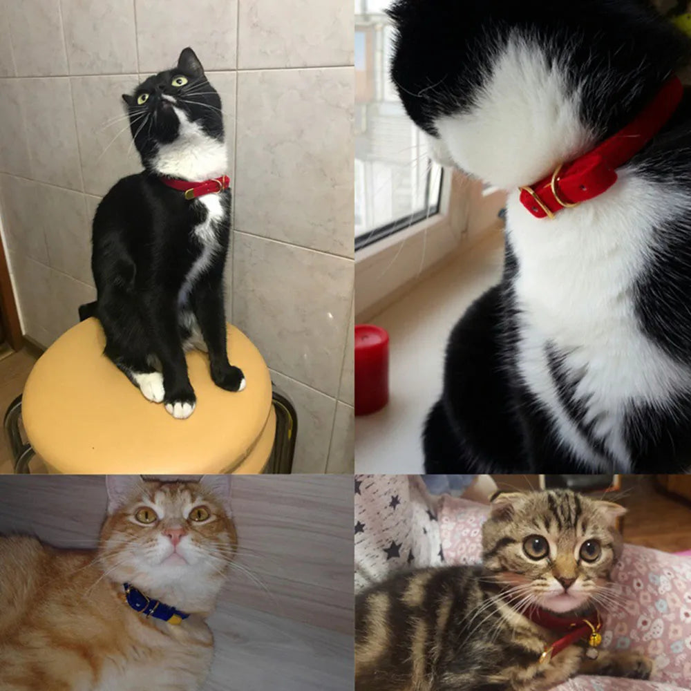 Cat Collar with Bell Safety Collar for Small Dogs & Kittens