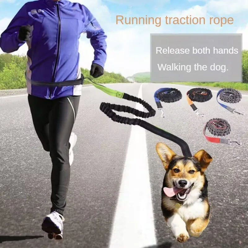 Hands-Free Adjustable Dog Leash with Waist Belt and Chest Strap