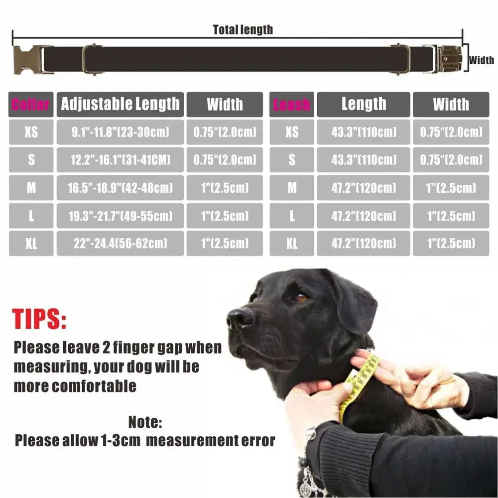 Personalized Leopard Print Dog Collar with Custom Nameplate & Matching Leash