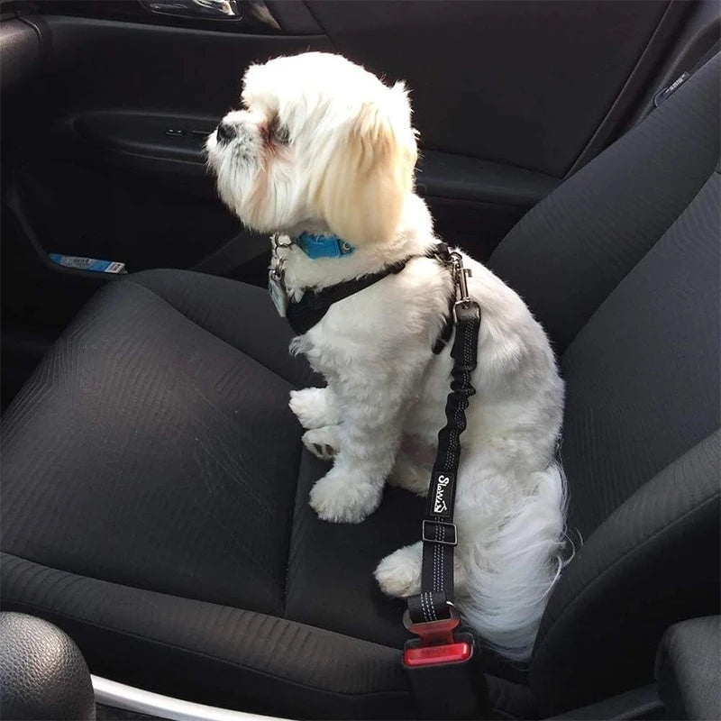 Retractable Cushion Adjustable Elastic Dog Safety Leash