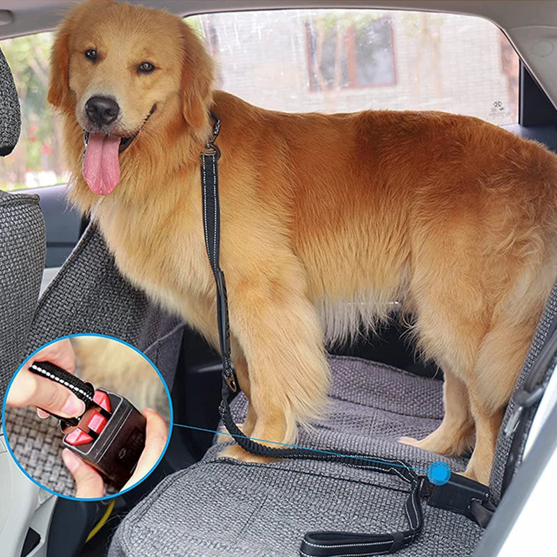 Shock Absorbing Multi-Functional Reflective Retractable Dog Leash