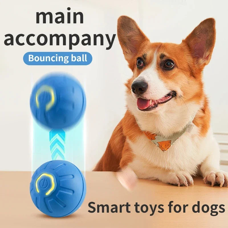 Smart Interactive Pet Toy USB Bouncing Toy for Dogs & Cats