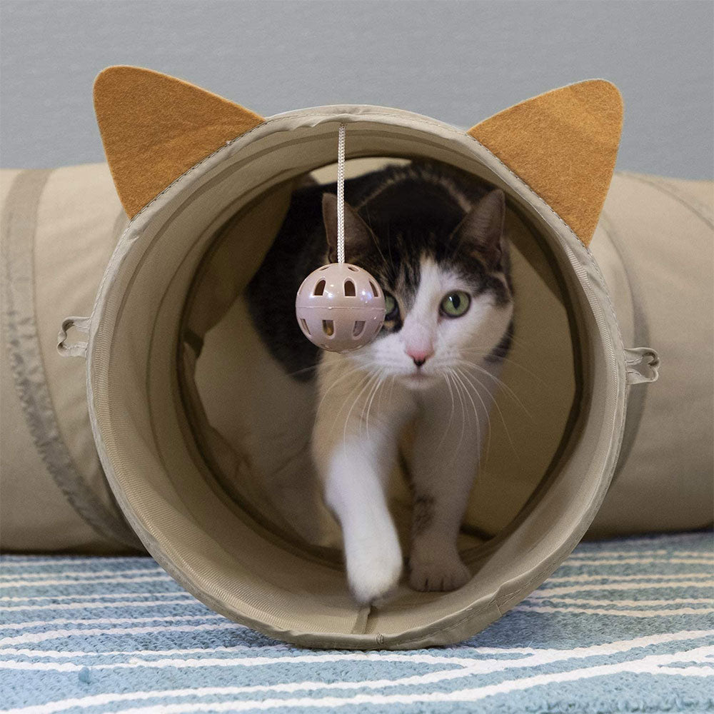 Kitty City Pop-up Cat