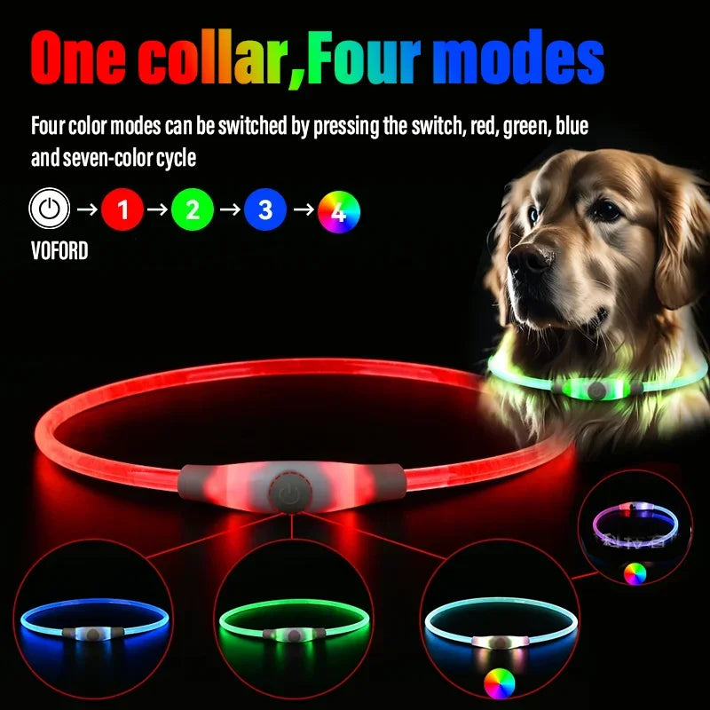 Anti-Lost Safety Rechargeable Waterproof Multicolor LED Dog Collar